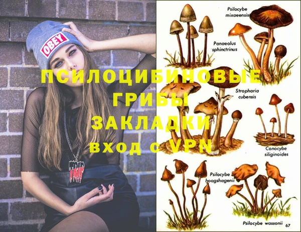 прущая мука Балабаново