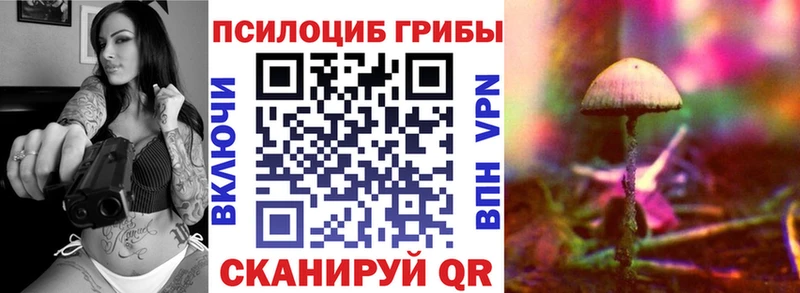 цена   Олонец  darknet как зайти  Галлюциногенные грибы мухоморы 